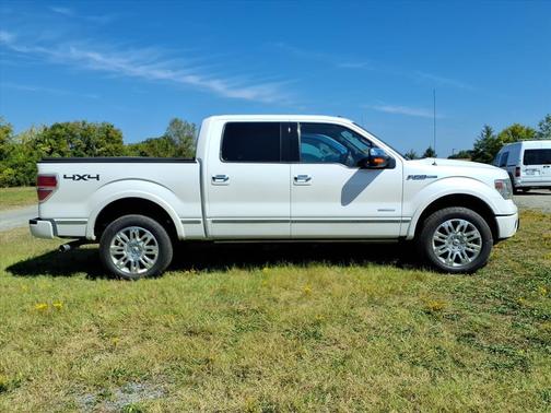 2014 Ford F-150 Platinum