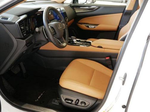 2025 Lexus NX 250 Base
