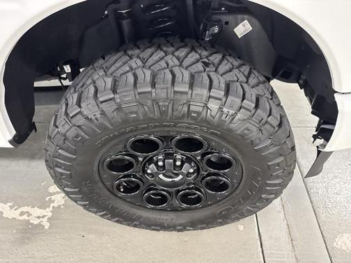 2024 Ford F-250 Platinum