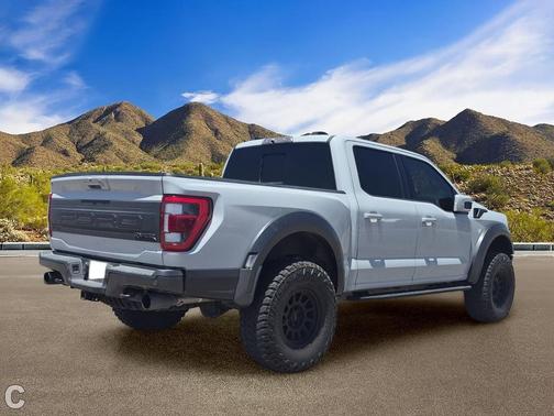 Avalanche 2023 Ford F-150 Raptor