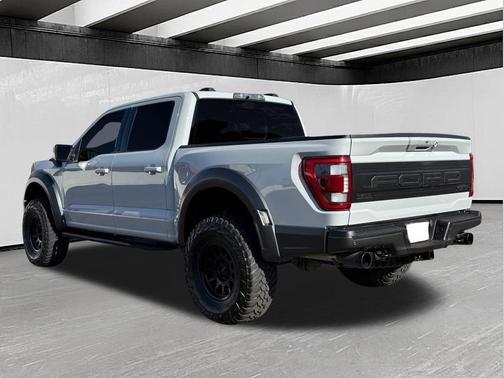 Avalanche 2023 Ford F-150 Raptor