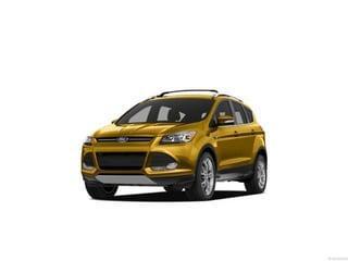 GINGER ALE METALLIC 2013 Ford Escape SEL