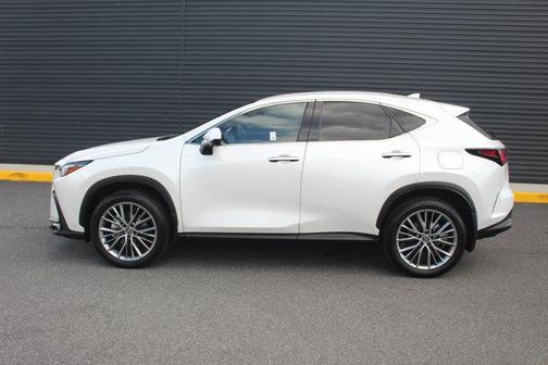 2024 Lexus NX 350 Luxury