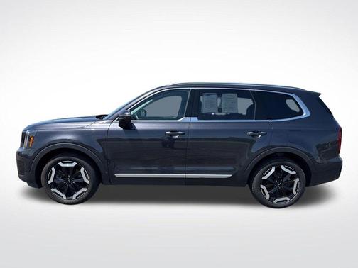 Panthera Metal 2025 Kia Telluride S