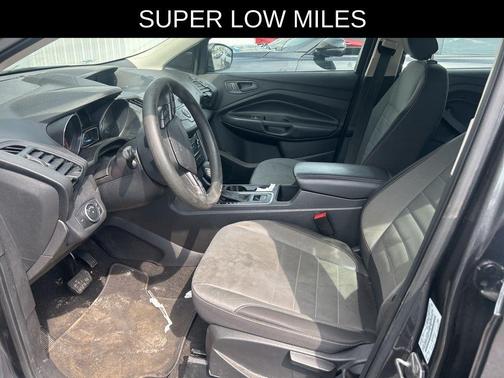 Magnetic 2019 Ford Escape S