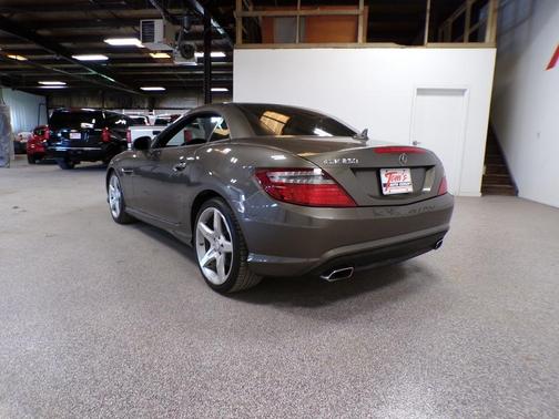 Gray 2015 Mercedes-Benz SLK-Class SLK 250