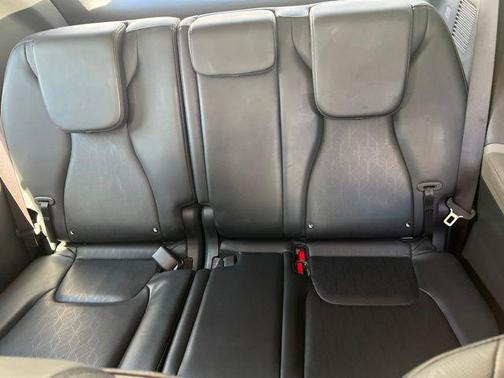 Panthera Metal 2025 Kia Carnival EX