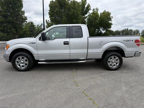 Brilliant Silver Clearcoat Metallic 2009 Ford F-150 FX4 SuperCab