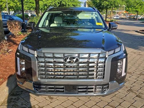 Moonlight 2023 Hyundai PALISADE Calligraphy
