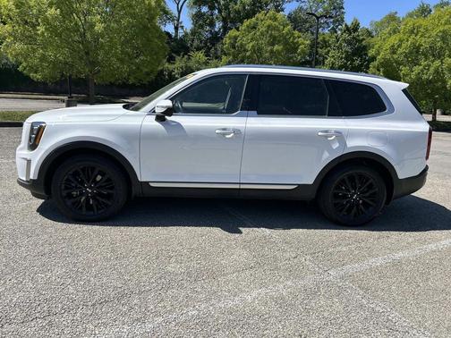 White Pearl 2021 Kia Telluride SX