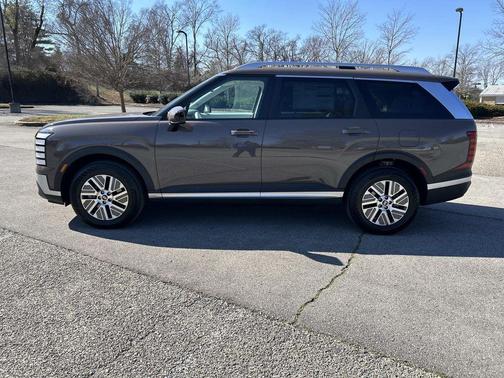 Iron 2026 Hyundai PALISADE SEL