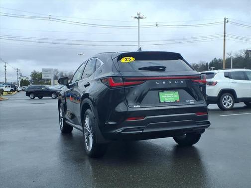 Caviar 2025 Lexus NX 350 Premium