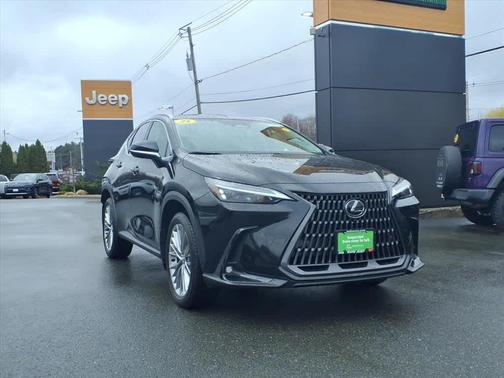 Caviar 2025 Lexus NX 350 Premium