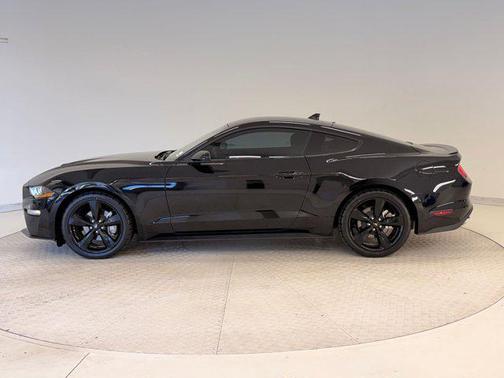 2023 Ford Mustang EcoBoost