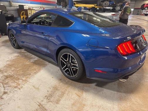2023 Ford Mustang EcoBoost