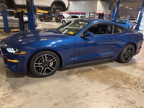 2023 Ford Mustang EcoBoost