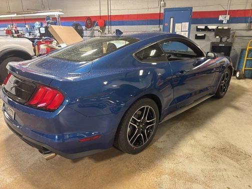 2023 Ford Mustang EcoBoost