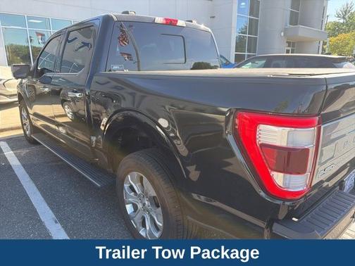 AGATE BLACK METALLIC 2021 Ford F-150 PLATINUM
