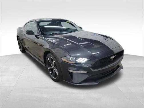 2023 Ford Mustang EcoBoost