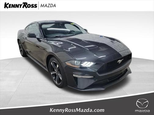 2023 Ford Mustang EcoBoost