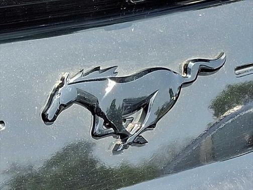 2022 Ford Mustang EcoBoost