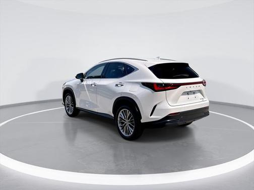 2022 Lexus NX 350 Luxury