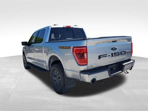 Iconic Silver Metallic 2023 Ford F-150 Tremor