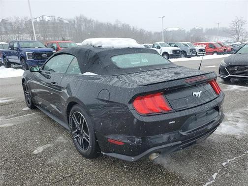 2019 Ford Mustang EcoBoost Premium