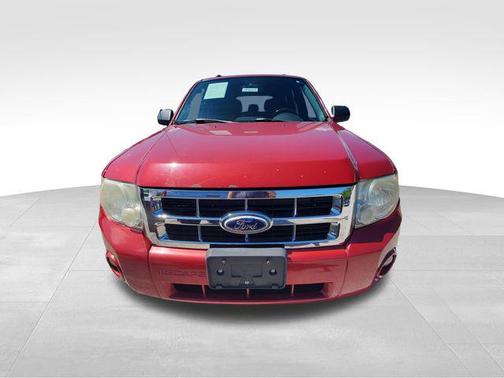 Sangria Red Metallic 2010 Ford Escape XLT