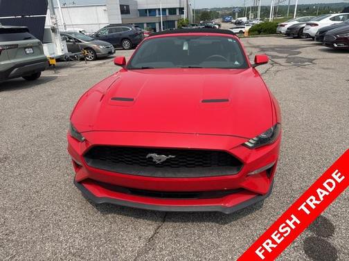 2019 Ford Mustang EcoBoost Premium