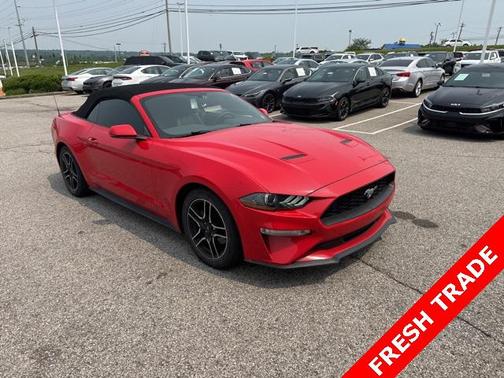 2019 Ford Mustang EcoBoost Premium