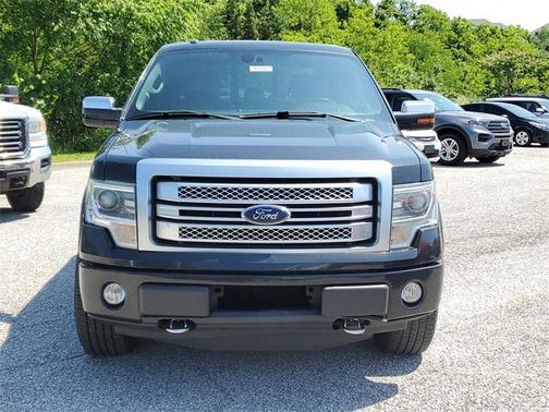 2013 Ford F-150 Platinum