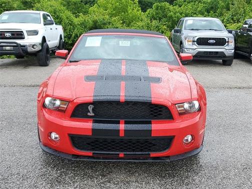 2010 Ford Shelby GT500 Base