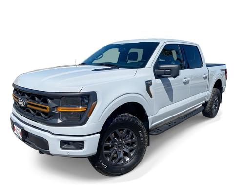 Avalanche 2024 Ford F-150 Tremor