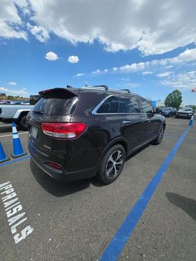 Polished Walnut 2017 Kia Sorento EX