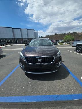Polished Walnut 2017 Kia Sorento EX