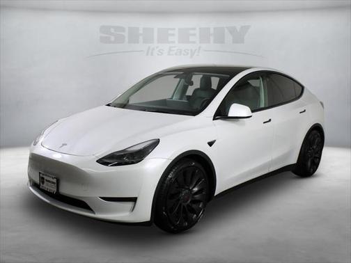 2021 Tesla Model Y Performance Dual Motor All-Wheel Drive