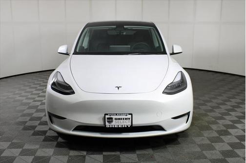 2021 Tesla Model Y Performance Dual Motor All-Wheel Drive