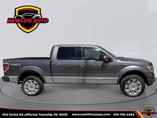 2010 Ford F-150 Platinum