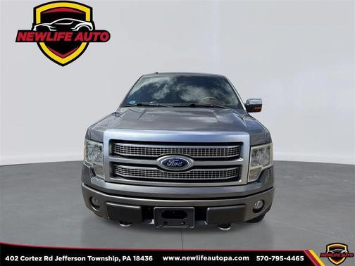 2010 Ford F-150 Platinum