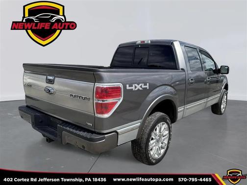 2010 Ford F-150 Platinum