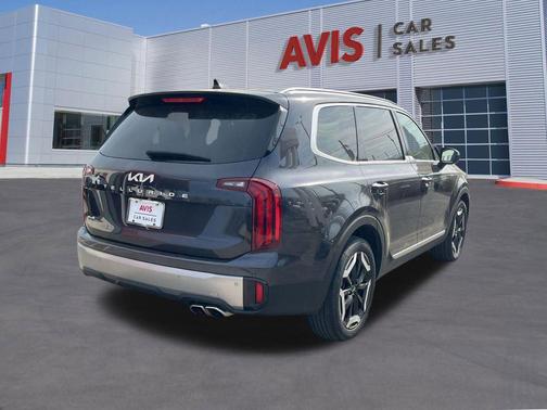 Panthera Metal 2025 Kia Telluride S