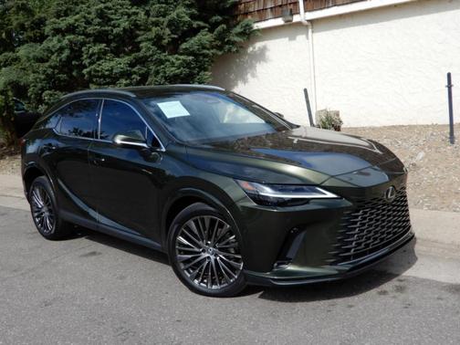 Green 2023 Lexus RX 350 Luxury