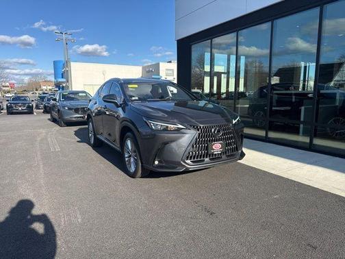 Gray 2025 Lexus NX 350h Premium