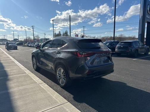 Gray 2025 Lexus NX 350h Premium