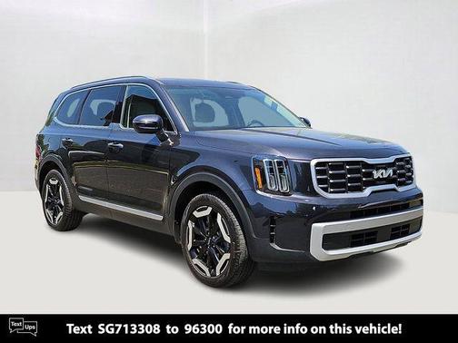 Panthera Metal 2025 Kia Telluride S