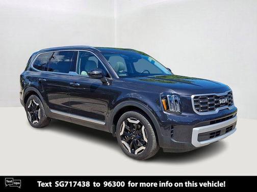 Panthera Metal 2025 Kia Telluride S
