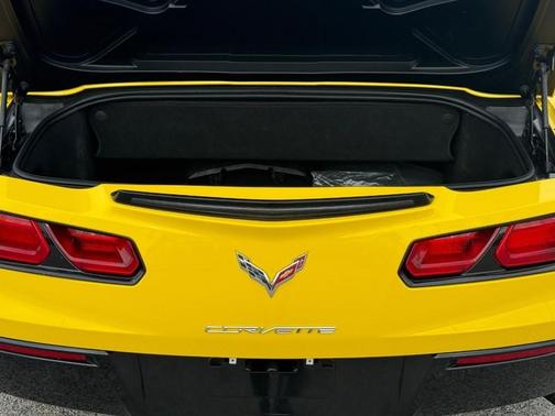 Corvette Racing Yellow Tintcoat 2019 Chevrolet Corvette Stingray