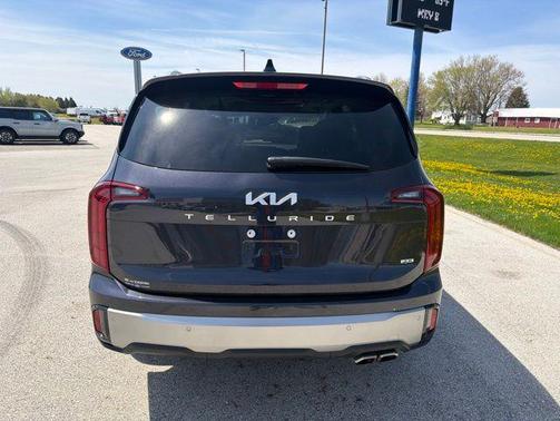 Panthera Metal 2025 Kia Telluride S