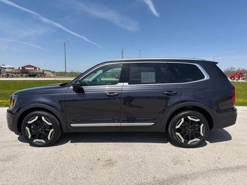 Panthera Metal 2025 Kia Telluride S